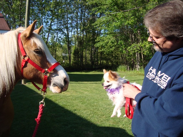 Lacey_and_her_pony