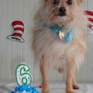 Happy 6th Birthday Chip!