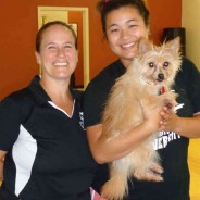 Hanover Humane Visits Martial Arts World in Ashland